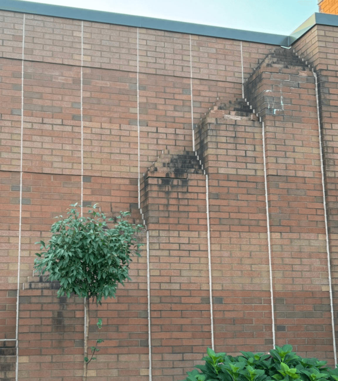 Brick Cleaning before